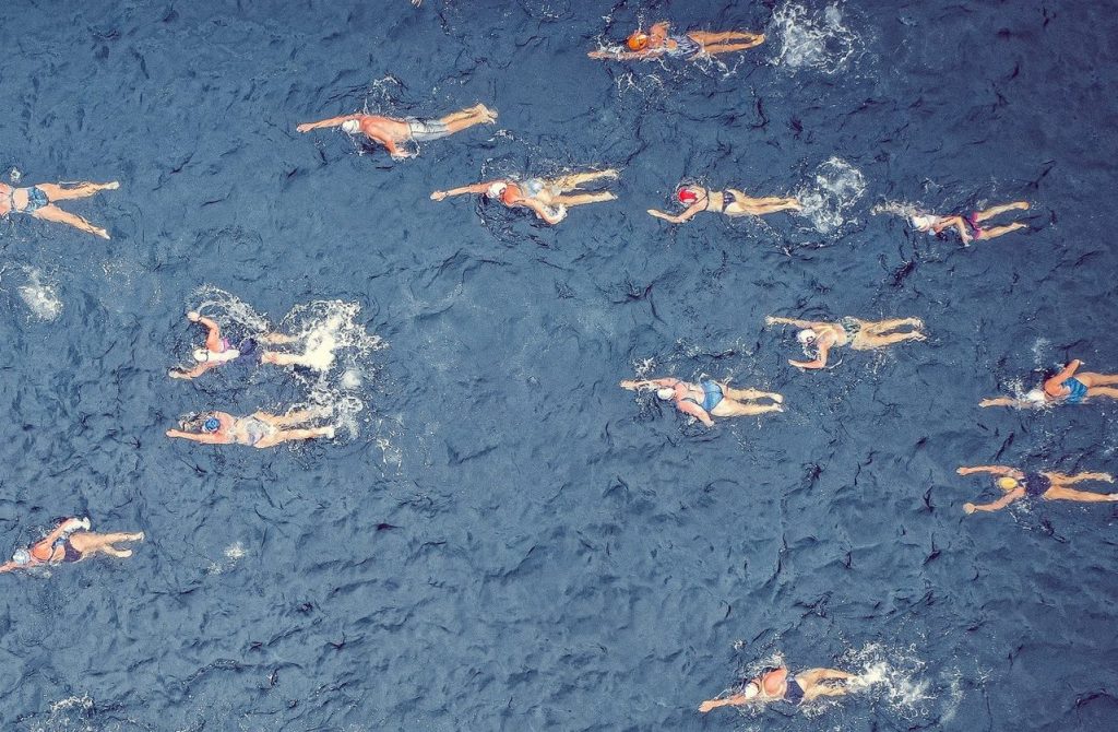 swimmers in sea